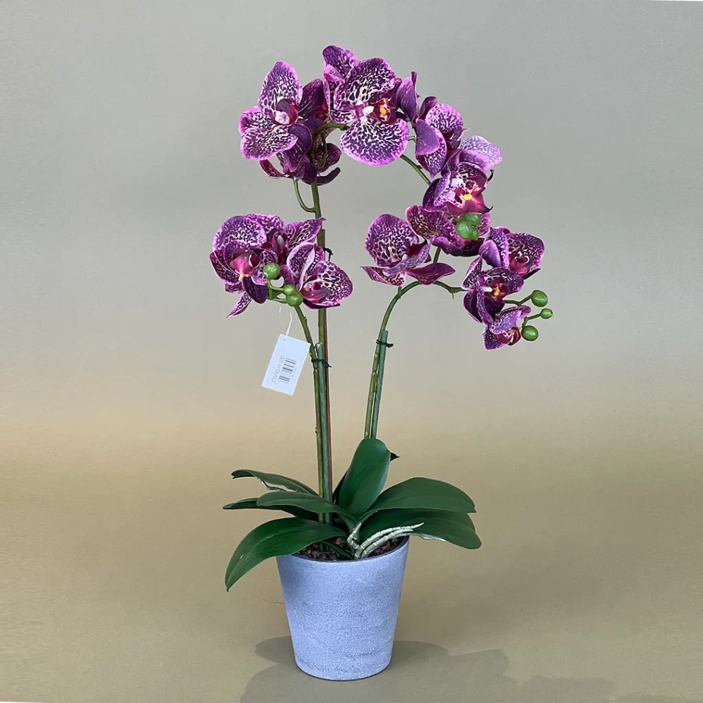 YH0062 Macetero de orquídea mediano morado