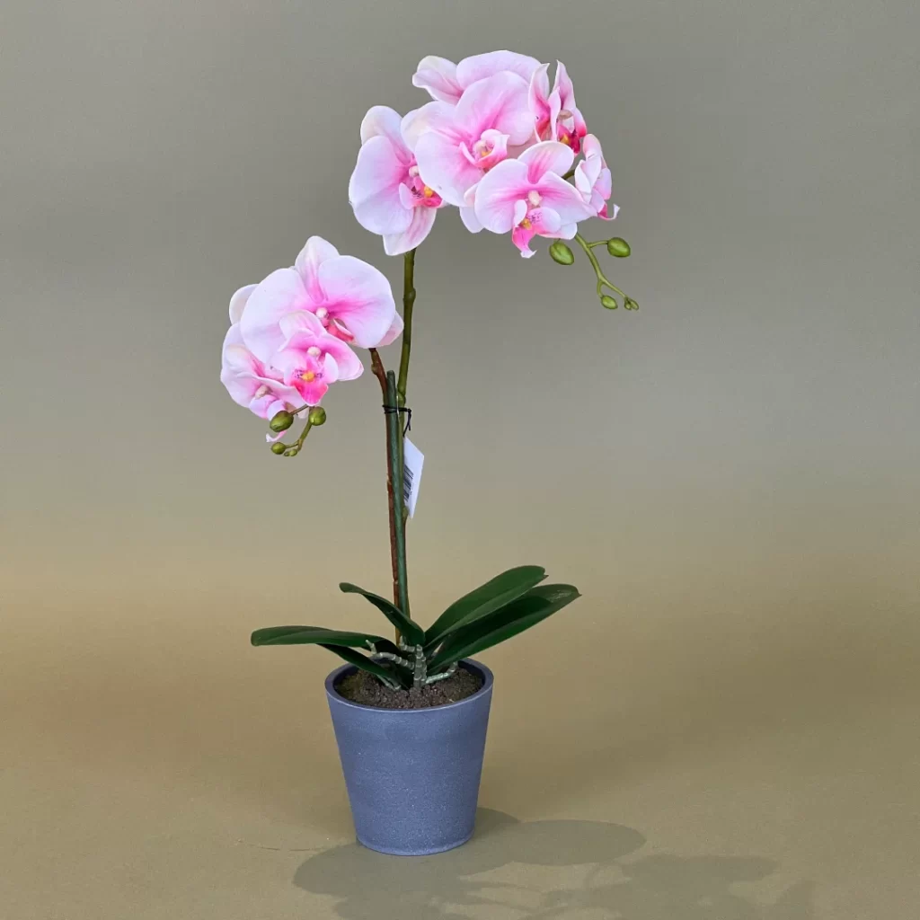 YH0064 Macetero de orquídea pequeño rosado