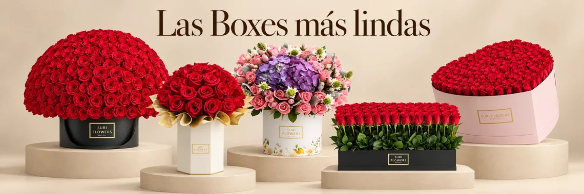 Las Boxes más lindas en Suri Flowers